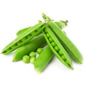 BEZELYE KG  Ünimar Süpermarket