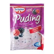 DR. OETKER ORMAN MEYVELI PUDING 81GR  Ünimar Süpermarket