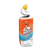 MR.MUSCLE WC BAHAR TAZELIGI 750ML  Ünimar Süpermarket